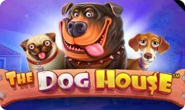 RoosterBet offre il gioco online The Dog House